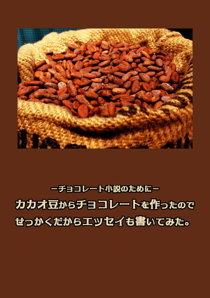 カカオ豆からチョコレートを作ったのでせっかくだからエッセイも書いてみた。 / ひじりあや 著