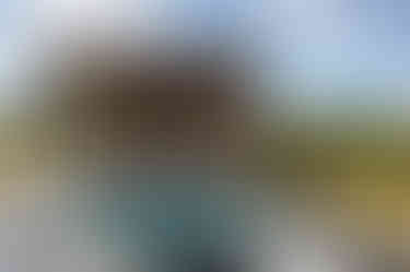 Pawnee Pass Design Build