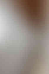 Pawnee Pass Design Build