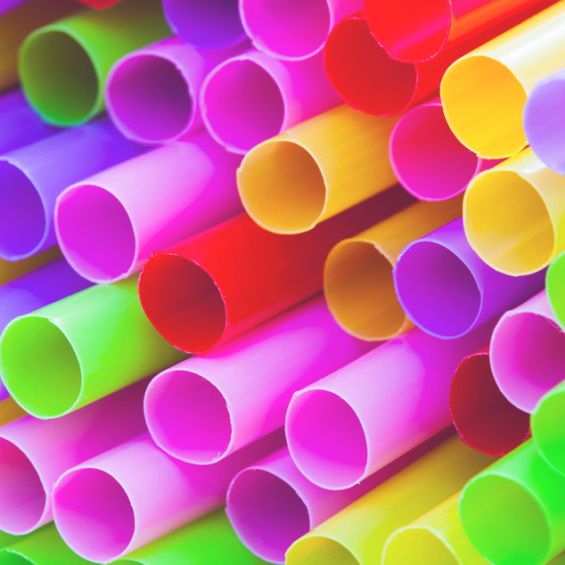 Lobby for a Single-Use Plastics Ban in Your Local Community