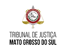 tribunal de justiça.png