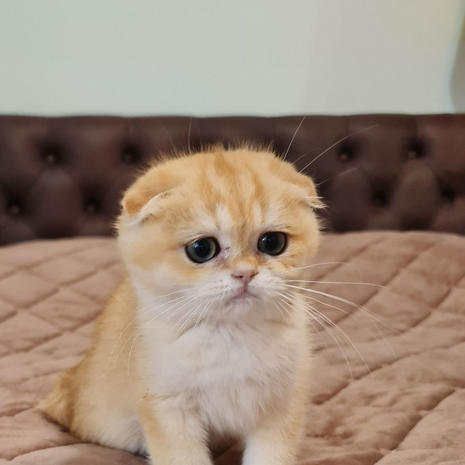 901686F6-90AC-4F30-87D7-357F4AFBC7CE.png