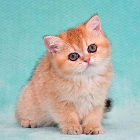 DD6D72D5-AF91-4E72-A3DC-95D5A0F9E29B.png