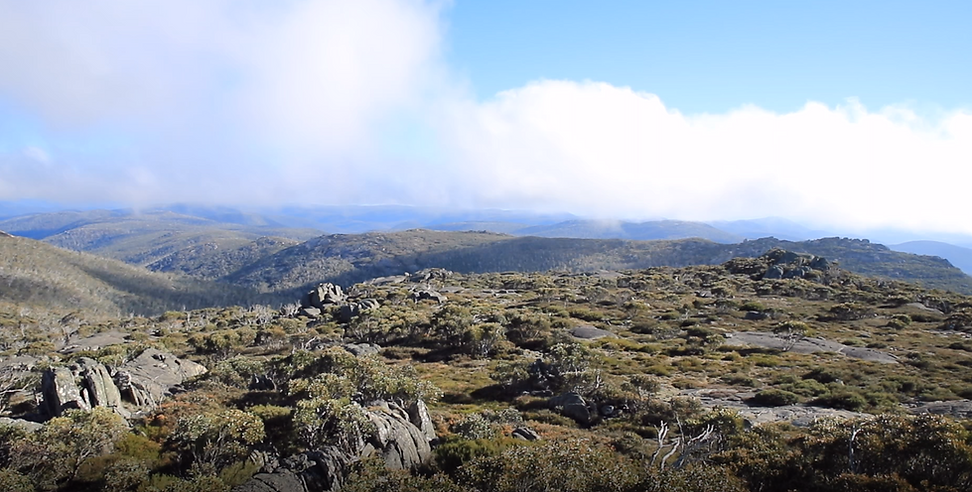 Namadgi 1.PNG