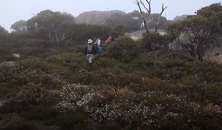 Top Namadgi 3.JPG