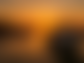 Fiumicino e il mare: la tradizione dei pescatori che ispira la cucina di oggi