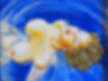Donna nell'acqua