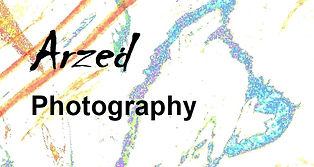 ArzedNamePage.jpg