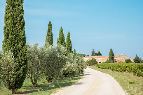 Prieure de SIGNAN -99.jpg