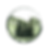Evergreen logo blank.png