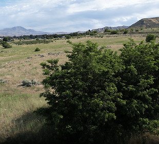 Screenshot 2025-08-14 123848.jpg