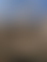 パソコンが壊れた