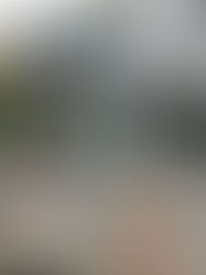 CDTV 4時間生放送♬