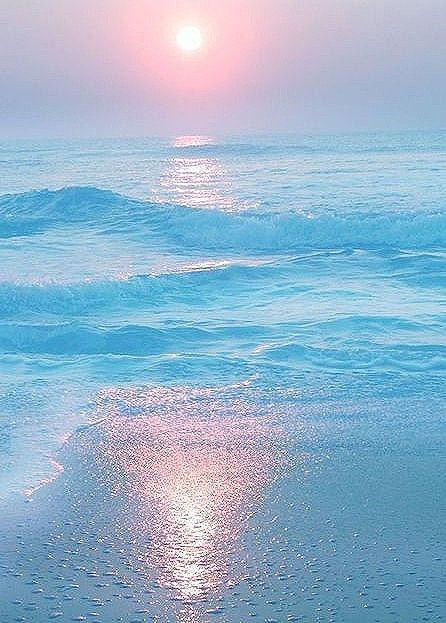 K147 青い手と黄色い種の音4の日