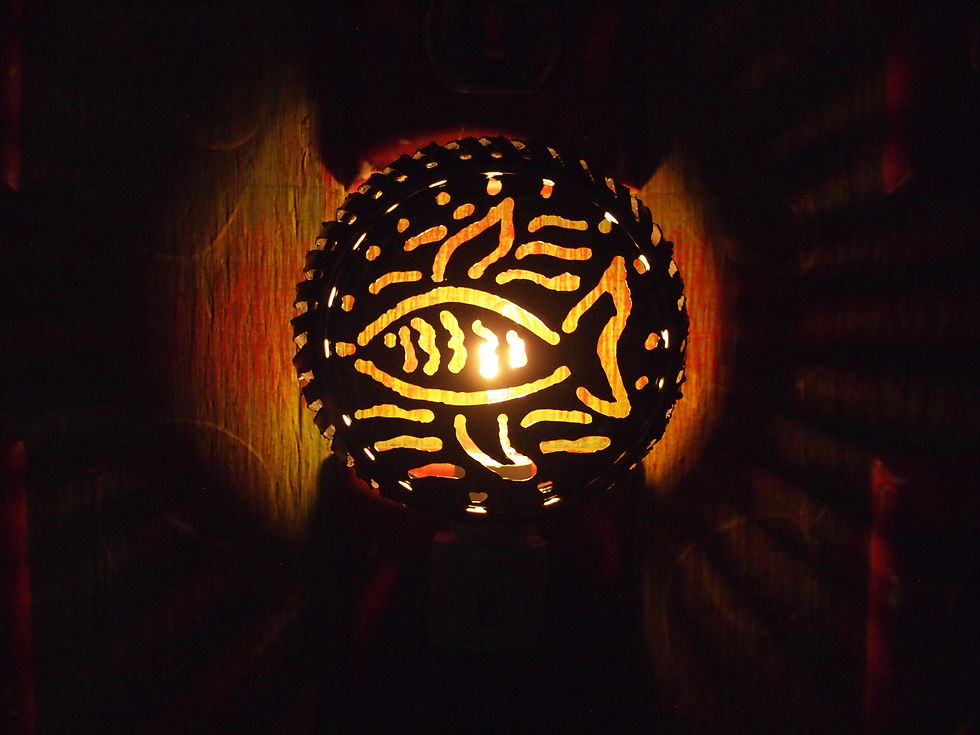 Thumbnail: Night-Lights: Animals