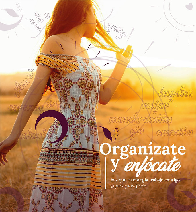 visual organÃzate y enfócate VISUAL-09.png