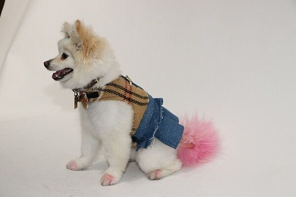 burberry print dog harness