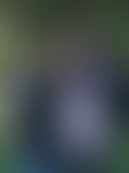 La transición adolescente. Vínculo con los padres y con los iguales.