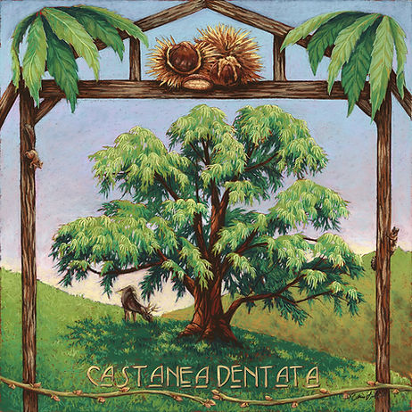 American Chestnut tree painting