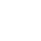 css.png