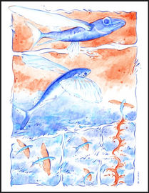 Affiche Poissons volant - 15 $