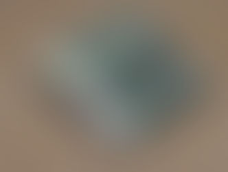 「心材(しんざい)」と「白太(しらた)」