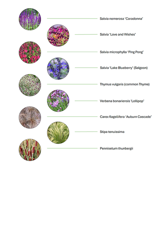 Screenshot 2025-07-11 at 10.35.15.png