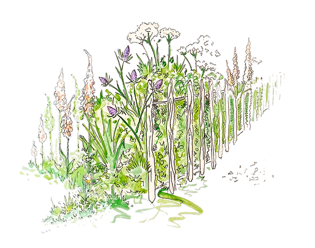 native plants composition_edited.png