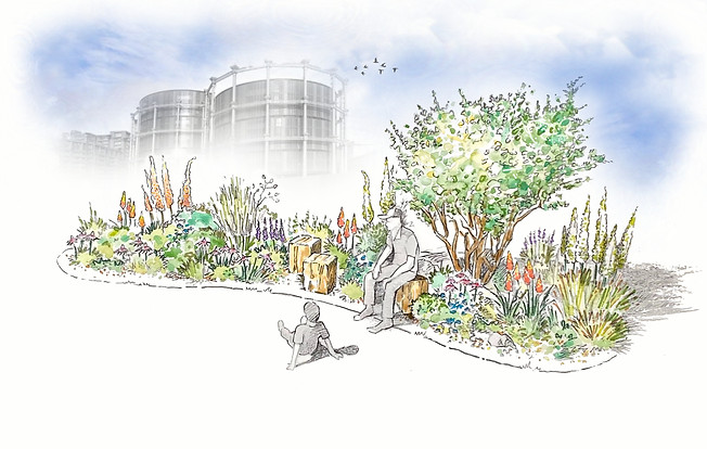 RHS HC25 PP_Visual Colour_FINAL.jpg