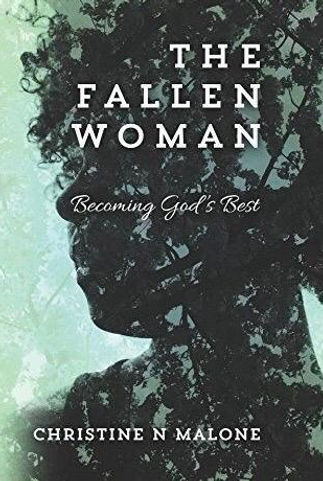 The fallen Woman book cover.jpg
