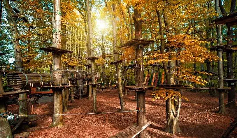 KletterwaldProra__msi___jpg.webp
