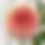 Thumbnail: 20th Ave Softer Peach