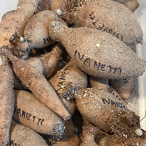 2265D705-87B7-46CB-94DE-17ED11AB8397_1_1