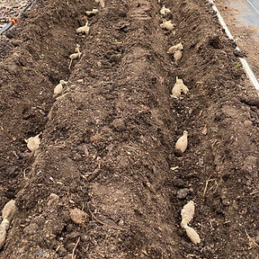 C107A2EB-B958-4618-84E2-FDB846112324_1_1