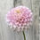 Thumbnail: Pink Pearl