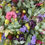 Thumbnail: Bouquet Booklet