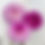 Thumbnail: Lavender Ice