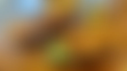 Review: The Tamil Prince