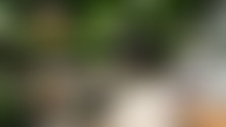 Wine & Free Oysters in the Sunshine