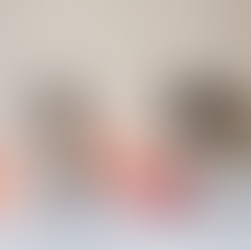 MOMO Kombucha X Natoora