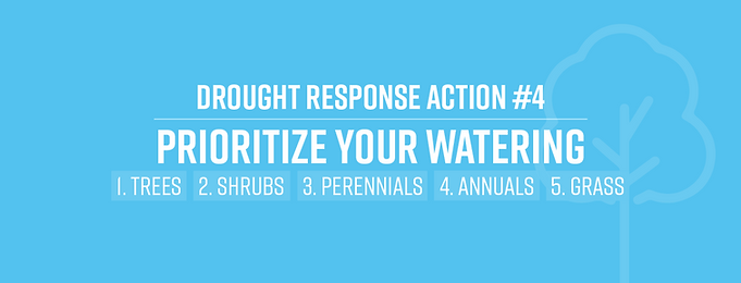 Updated_STF_DroughtResponseAction_WebBanner_4.png