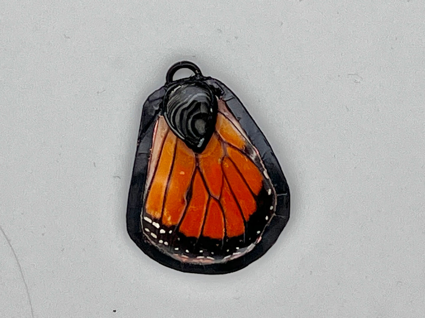 Monarch Butterfly Wing