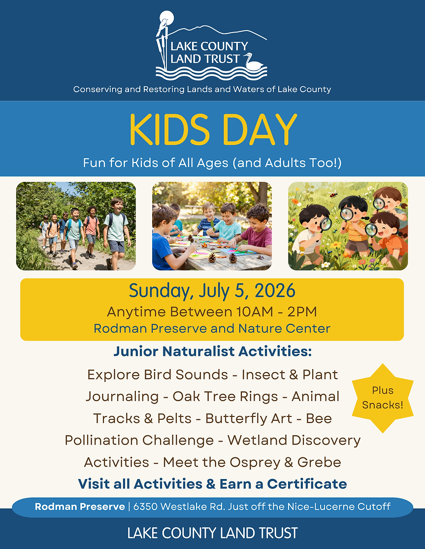 Kids Day Flyer (4).png
