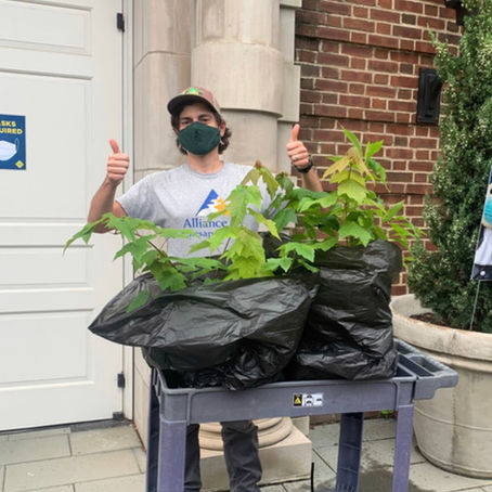 Spotlight on Tree Planting Enthusiast Ryan Davis