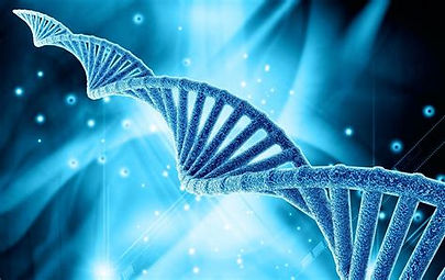 DNA.jpeg