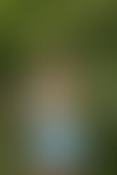 Wake County Senior Photographer | Everything Parents Need to Know