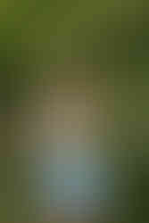 blonde girl posing in blue dress for spring senior photos in raleigh