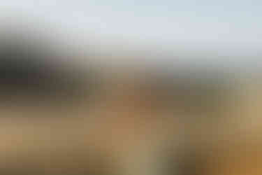 dramatic senior pictures on bolinas ridge in marin county girl in yellow dress