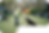 Image (1) (2).png