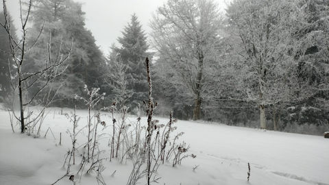 la maison des sapins résidence d'artistes ardèche